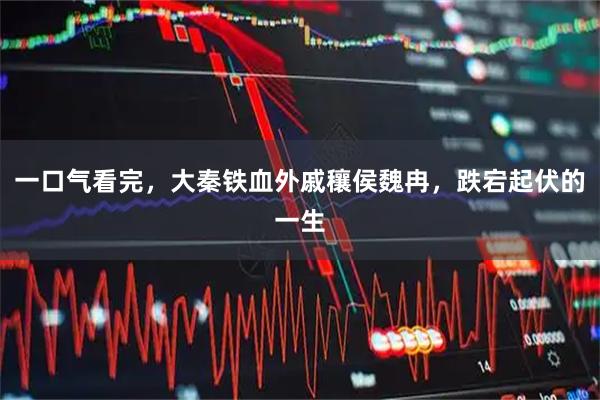 一口气看完，大秦铁血外戚穰侯魏冉，跌宕起伏的一生