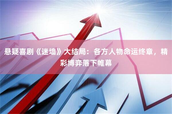悬疑喜剧《迷墙》大结局：各方人物命运终章，精彩博弈落下帷幕
